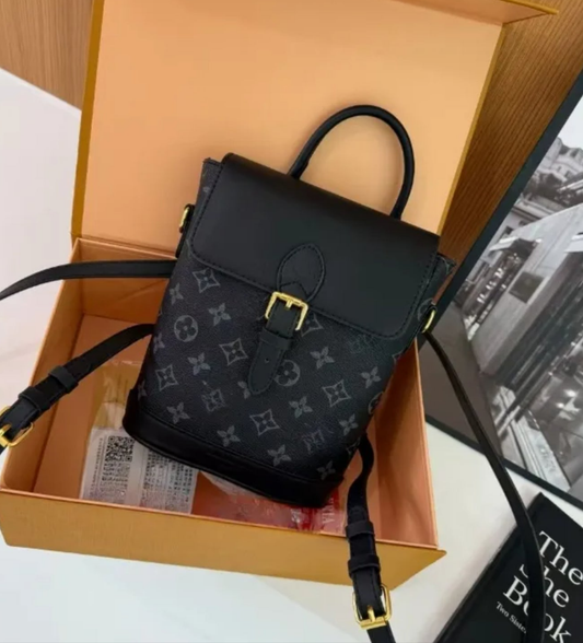 LV110 Mini backpack