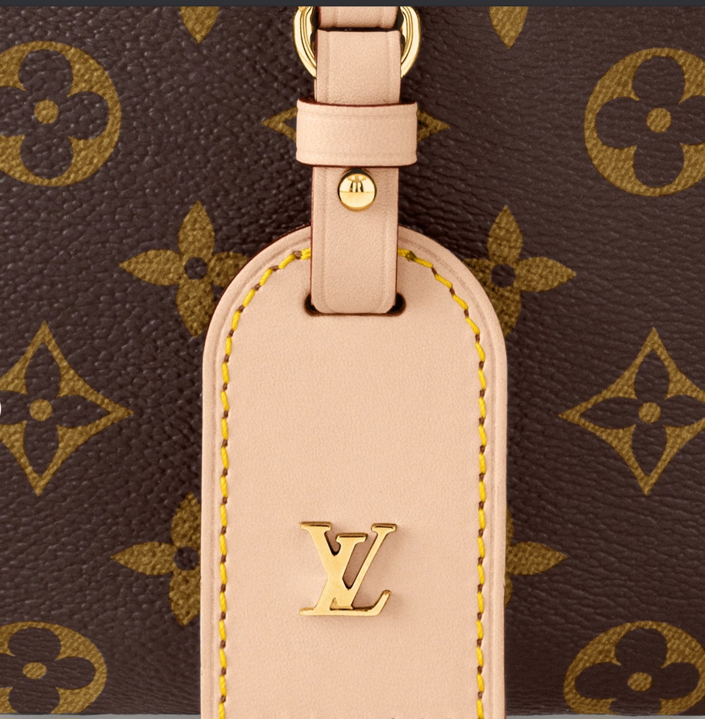 LV Bum Bag Brown Mono 001