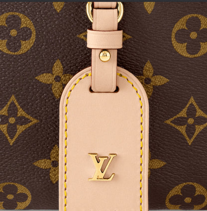 LV Bum Bag Brown Mono 001